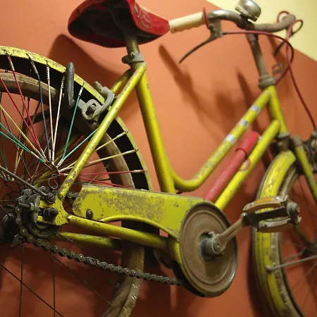 La Bicicletta Rifiorita