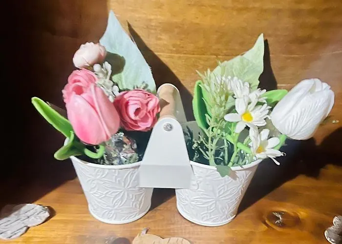 La Bicicletta Oda ve Kahvaltı