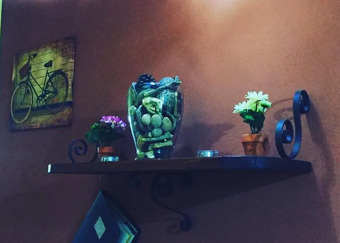 La Bicicletta Oda ve Kahvaltı